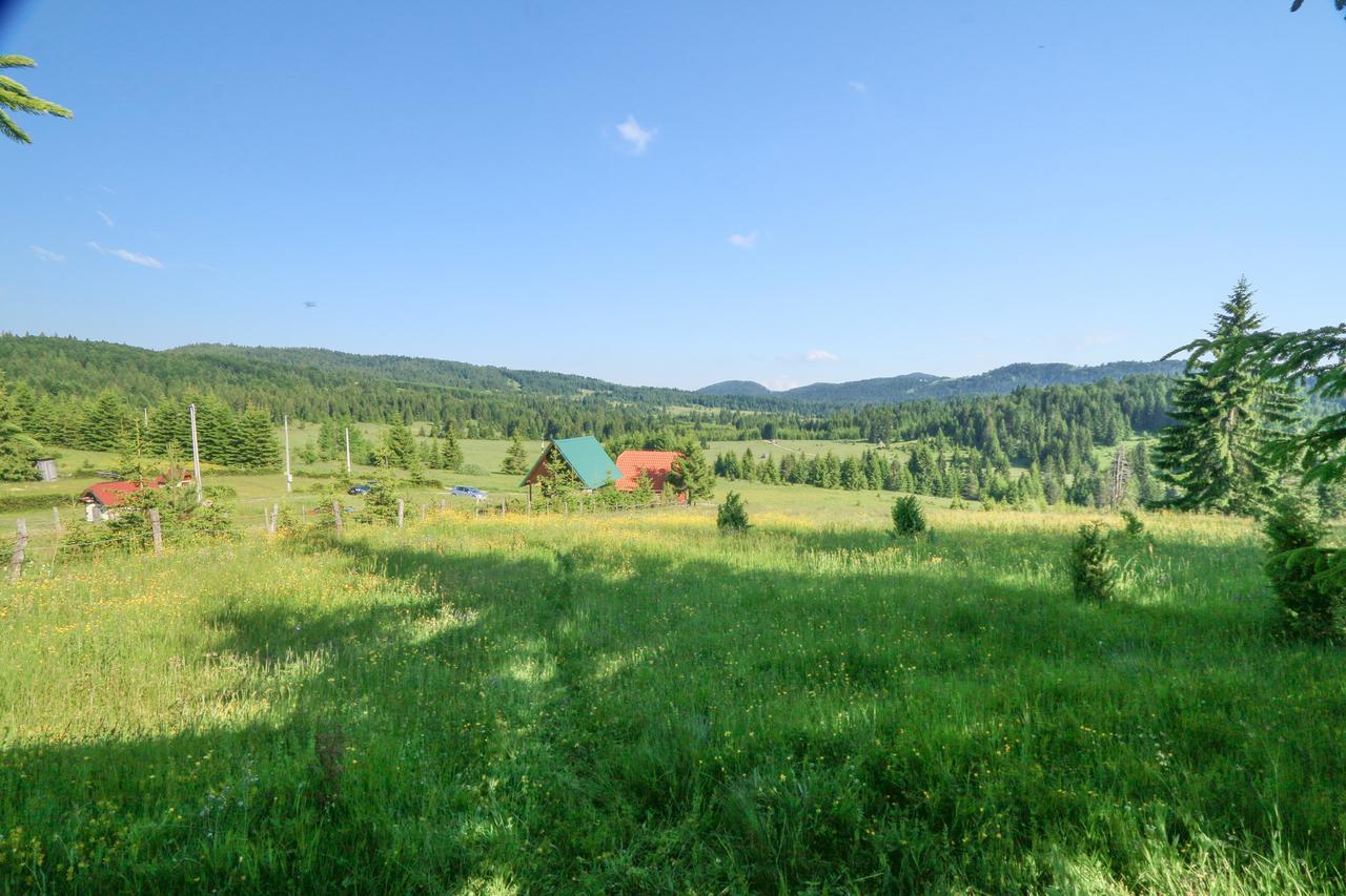 Vile Stefan Villa Zaovine Esterno foto